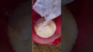 Japanese Pancakes