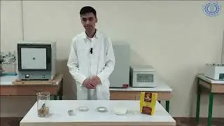 Bugʻdoy uni va donining kuldorligini aniqlash