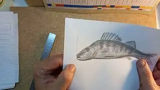 Рисую вместе со всеми на пенсии легко.Учебный рисунок.