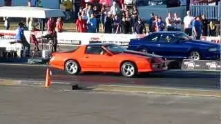 Super Fast Fox Body Mustang Schools Me!