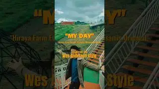 Mini Vlog #25 "Hiraya Farm Escape, Claveria, Misamis Oriental": Inspired by: Wes Anderson Style