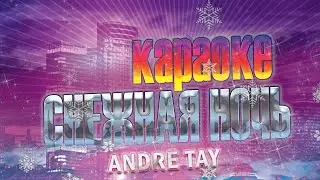 Andre TAY -Snowy night / Андрей ТАЙ - Снежная ночь. КАРАОКЕ| Поём вместе! +0