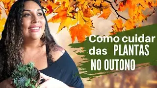 Como cuidar das suas plantas no Outono #plantaseoutono