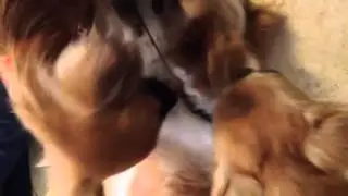 Bongo playing with the new girls