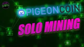 I Solo Mined Pigeoncoin (PGN) with 125 MH/s
