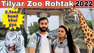 Tilyar Zoo Rohtak { NOW OPEN } || Full Tour + All Information