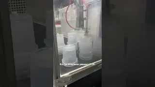 14 августа 2024 г.