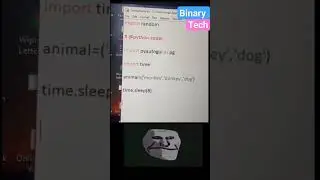 python code 