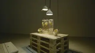 'REFUSE' by The Observatory