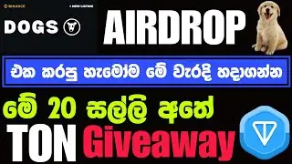 Dogs airdrop important update|make money online|e money sinhala|සල්ලි ගන්න විඩියෝව බලන්න