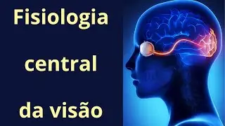 Via óptica e fisiologia central da visão - Fisiologia Humana