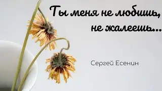 Ты меня не любишь, не жалеешь — Сергей Есенин