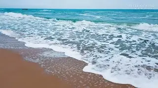 🌊 Relaxing Sounds of the Sea: Seagulls & Waves for Sleep