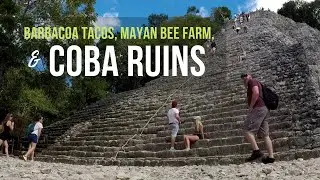 Coba Ruins, Barbacoa Tacos, and Melipona Mayan Bees || Long Term Travel MEXICO || AT HOME ON THE GO