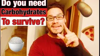 Do You Need Carbohydrates To Survive?