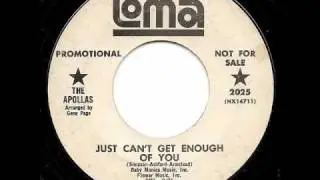 THE APOLLAS - Just Can't Get Enough Of You