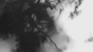 Shadows Composition (Work in Progress extract)