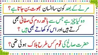 Dilchasp Malumati Islamic Paheliyan, Paheliyan in Urdu, GK Riddles, Common Sense Quiz About Islam,