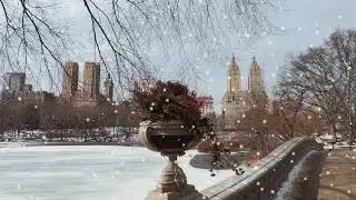 Jonathan Gable - Central park
