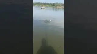 Вау!)🤩