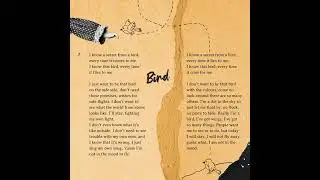Valice - Bird (Official audio)