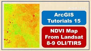 NDVI Map in ArcGIS from Landsat 8-9 OLI/TIRS