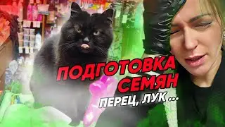 Подготовка семян перца к посадке, и другие деревенские радости ))) 