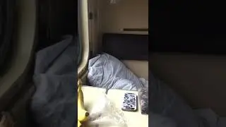 Поезд Тюмень -Махачкала
