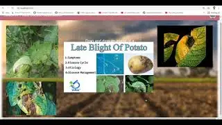 End to End Deep Learning Web Application On React JS - Agriculture Domain