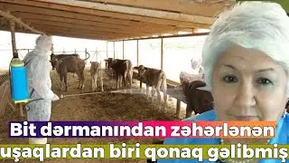 Tanınmış seysmoloq vəfat etdi