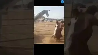 Try Not To Laugh 😂 (Part 4) | Funny Memes #memes #shorts