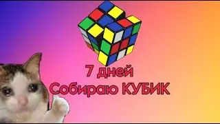Улучшаю РЕЗУЛЬТАТ сборки за 7 ДНЕЙ!(4-5 день) F2l