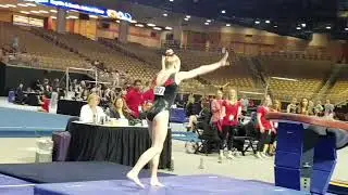 Morgan Romeis - 2019 Eastern Nationals - VT 1