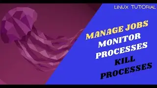 How to Monitor and Manage Processes in Linux | How to Kill Processes