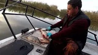 теперь окуня можно и не отпускать