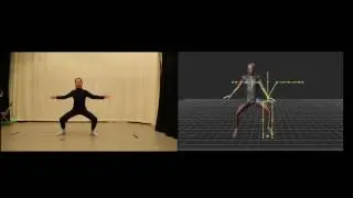 Motion capture reference video