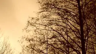 Pete Namlook - Picnic (winter park)