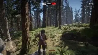 RD2O: Rape Forest