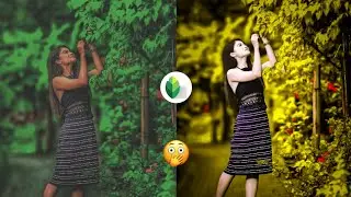 New Snapseed Golden Colour Effect Editing | Best Colour Effect Editing | lr Photo Editing Tutorial