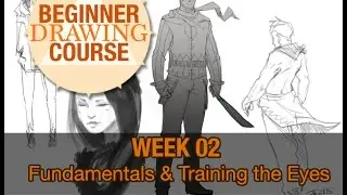 Beginner Drawing Course: Week 02 - Fundamentals and Training The Eyes