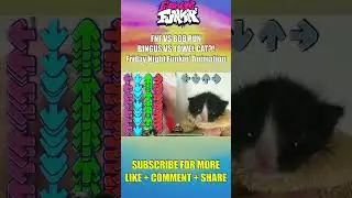 FNF VS BOB RUN BUT BINGUS VS TOWEL KITTEN - Friday Night Funkin' Custom Animation