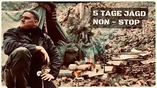 Erfolg auf Schwarzwild, Raubwild und Rehwild - 5 Tage Jagd Non-Stop