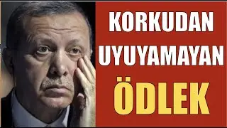 ERDOĞAN’IN RUH HALİNİN FOTOĞRAFINI ÇEKTİ: GERÇEKTE ÖDLEK