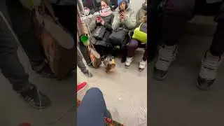 Питер, он такой 🦆. Прикол в метро.