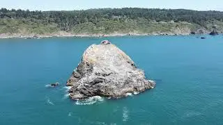 From The Rock to the Redwoods