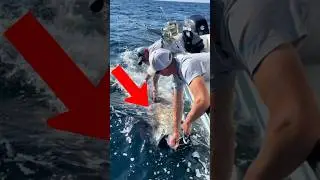 Hanno catturato il pesce più costoso del mondo😳 (@blaineanderson5193)tt
