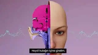 İşitme Kaybı Neye Benziyor?
