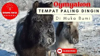 Oymyakon Tempat Paling Dingin  Dimuka Bumi | Gudang Fakta