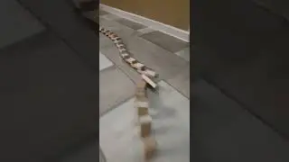 Цепная реакция