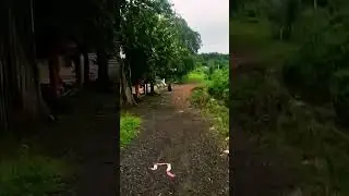 400 साल से अधिक पुराना हनुमान जी का मंदिर||वीरवाड़ी हनुमान जी मंदिर|| ||जय श्री राम||